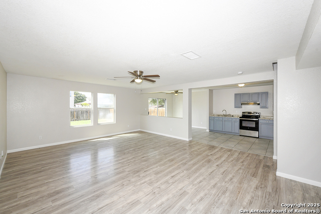 Image 6 of 29 For 3535 Honey