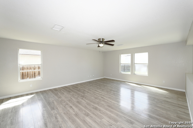 Image 9 of 29 For 3535 Honey