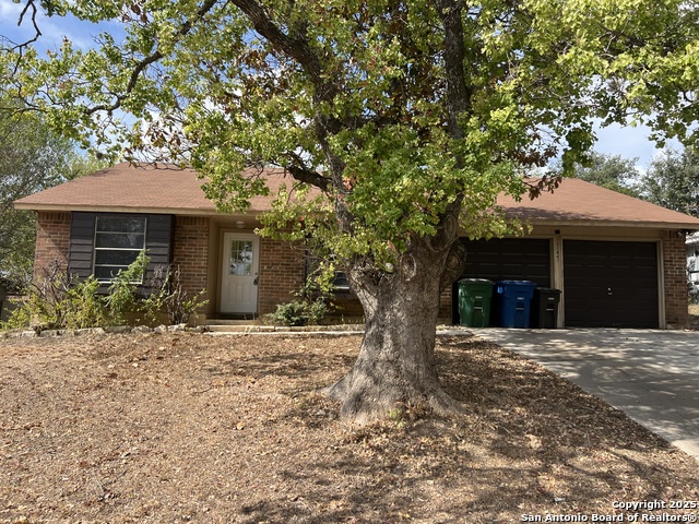 Details for 11447 Woollcott, San Antonio, TX 78251