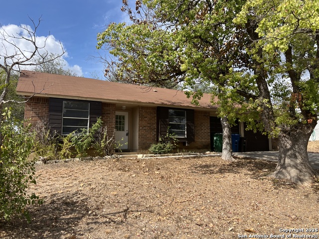 Image 2 of 17 For 11447 Woollcott