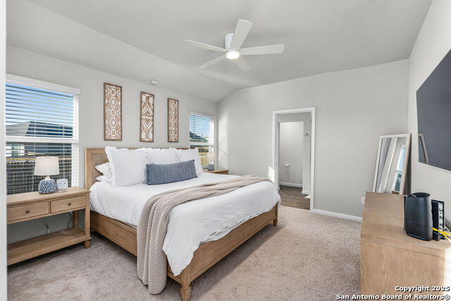 Image 13 of 22 For 155 Globe Mallow