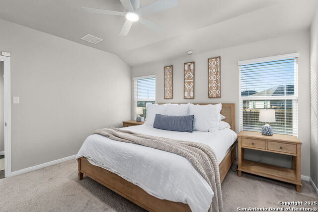 Image 14 of 22 For 155 Globe Mallow