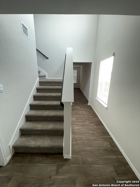 Image 12 of 13 For 13612 Bach Circle