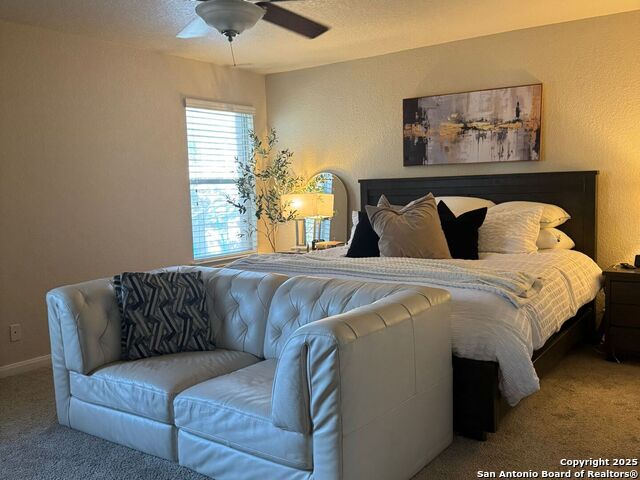 Image 11 of 22 For 830 Mandolin Wind