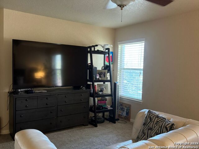 Image 12 of 22 For 830 Mandolin Wind