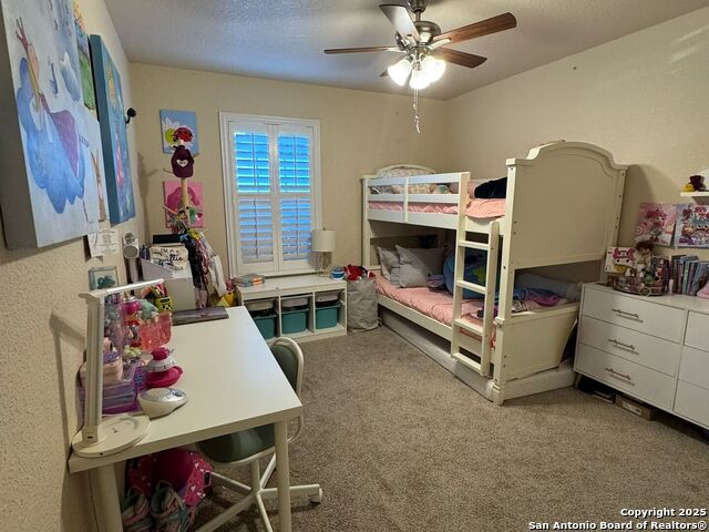 Image 16 of 22 For 830 Mandolin Wind