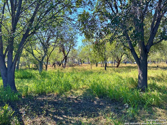 Image 5 of 8 For 215 College E