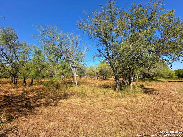 Image 6 of 8 For 215 College E