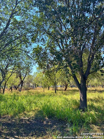 Image 7 of 8 For 215 College E