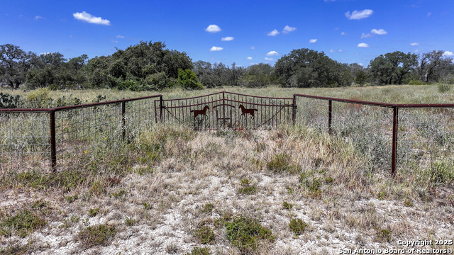 Image 18 of 52 For 461 Blossom  