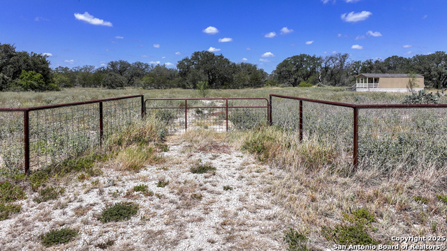 Image 19 of 52 For 461 Blossom  