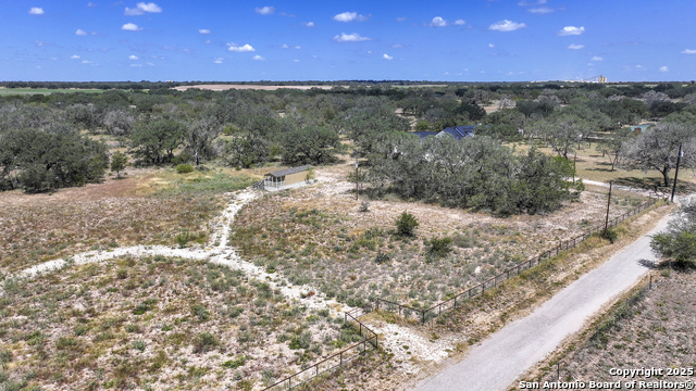 Image 20 of 52 For 461 Blossom  