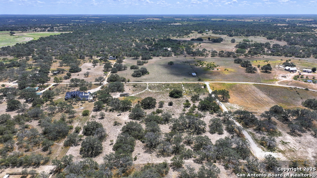 Image 3 of 52 For 461 Blossom  