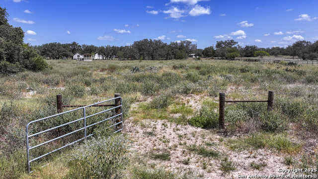 Image 43 of 52 For 461 Blossom  