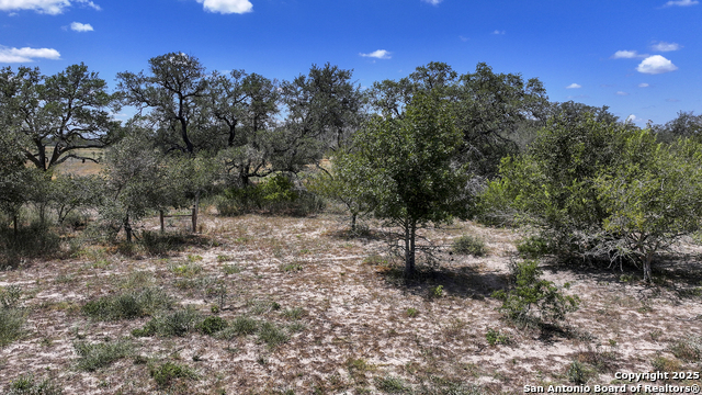 Image 49 of 52 For 461 Blossom  