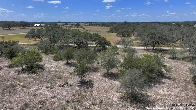 Image 50 of 52 For 461 Blossom  