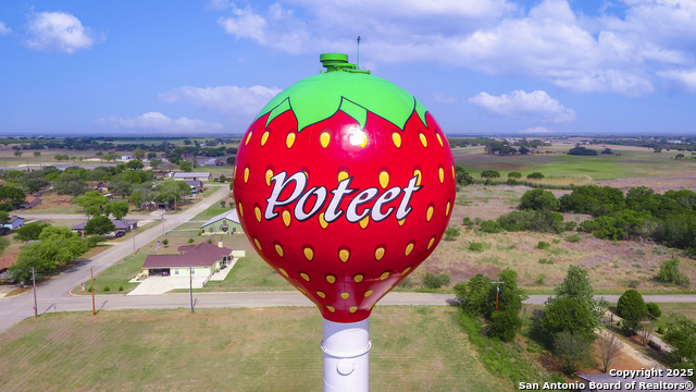 Image 52 of 52 For 461 Blossom  