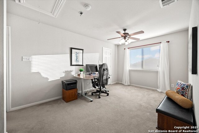 Image 14 of 28 For 24 Sable Frst