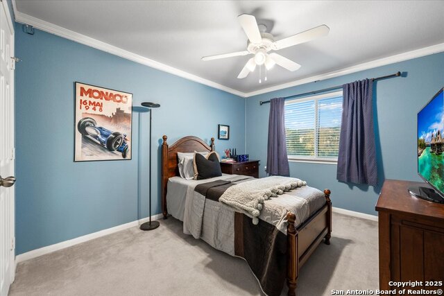 Image 21 of 28 For 24 Sable Frst