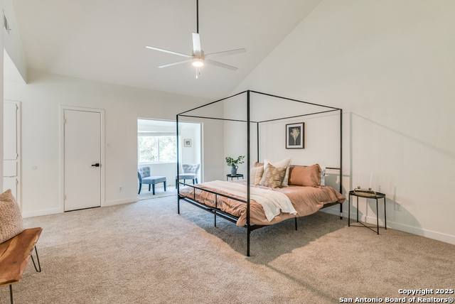 Image 11 of 19 For 11802 Button Willow