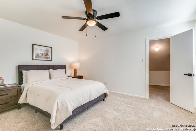 Image 14 of 19 For 11802 Button Willow