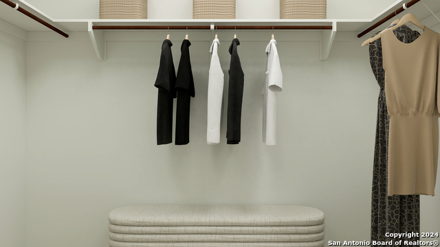 Image 21 of 21 For 2227 Camellia Rose