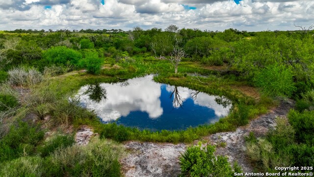 Listing photo id 8 for 12937 Fm 743