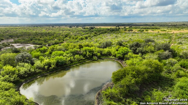 Listing photo id 10 for 12937 Fm 743