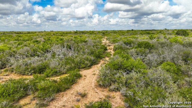 Listing photo id 11 for 12937 Fm 743