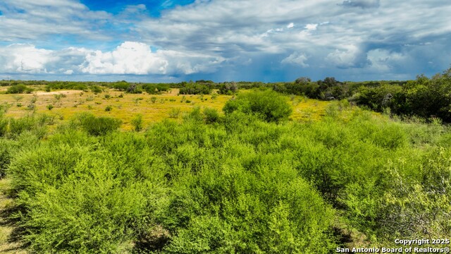 Listing photo id 16 for 12937 Fm 743