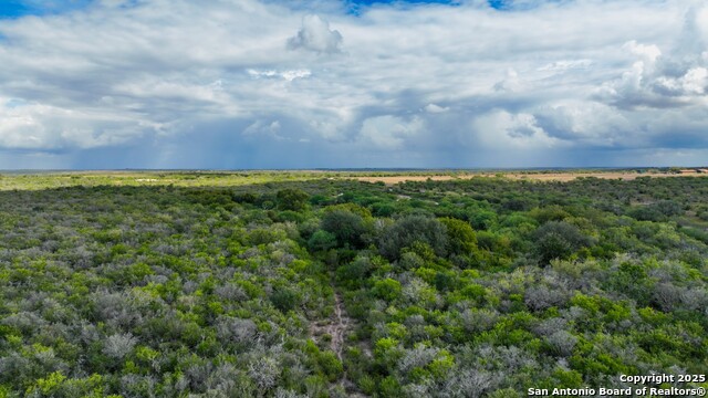 Listing photo id 19 for 12937 Fm 743