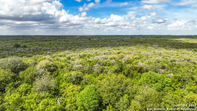 Listing photo id 22 for 12937 Fm 743