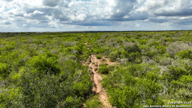 Listing photo id 23 for 12937 Fm 743