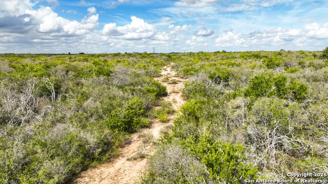 Listing photo id 24 for 12937 Fm 743