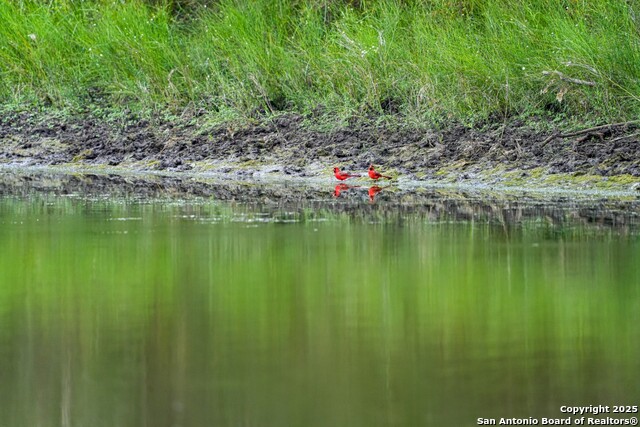 Listing photo id 1 for 12937 Fm 743