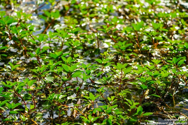 Listing photo id 32 for 12937 Fm 743