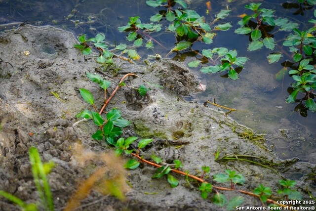 Listing photo id 34 for 12937 Fm 743