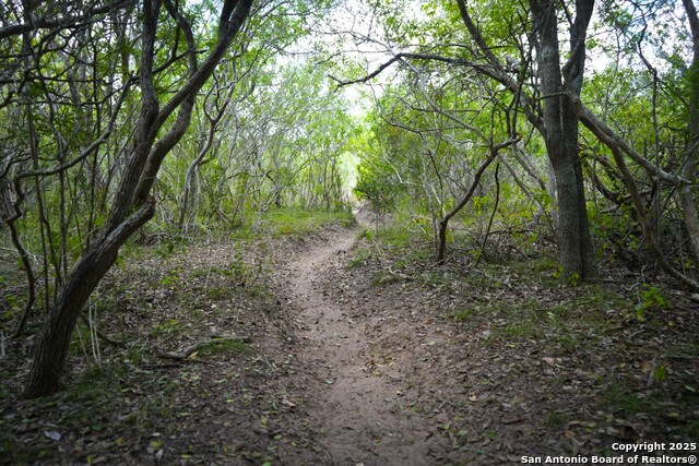 Listing photo id 2 for 12937 Fm 743