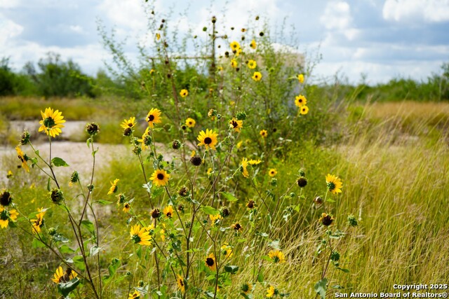 Listing photo id 38 for 12937 Fm 743