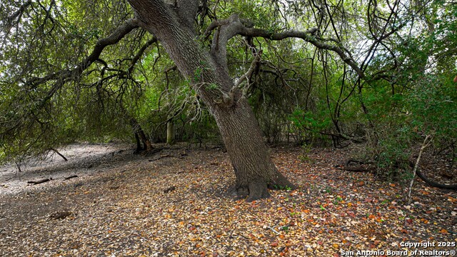 Listing photo id 3 for 12937 Fm 743