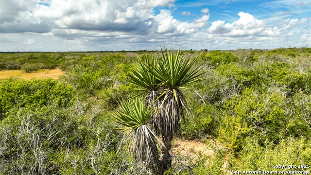 Listing photo id 4 for 12937 Fm 743