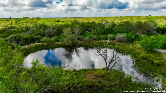 Listing photo id 7 for 12937 Fm 743