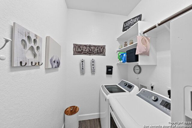 Image 16 of 40 For 2154 Wildrye