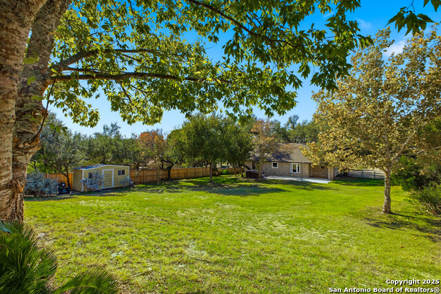 Image 24 of 34 For 27014 Fiddlers