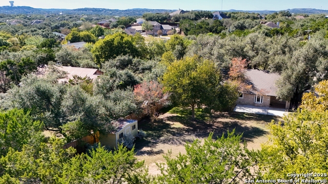 Image 31 of 34 For 27014 Fiddlers