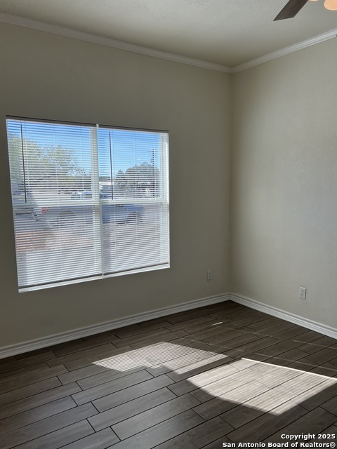 Image 22 of 32 For 516 Schleicher