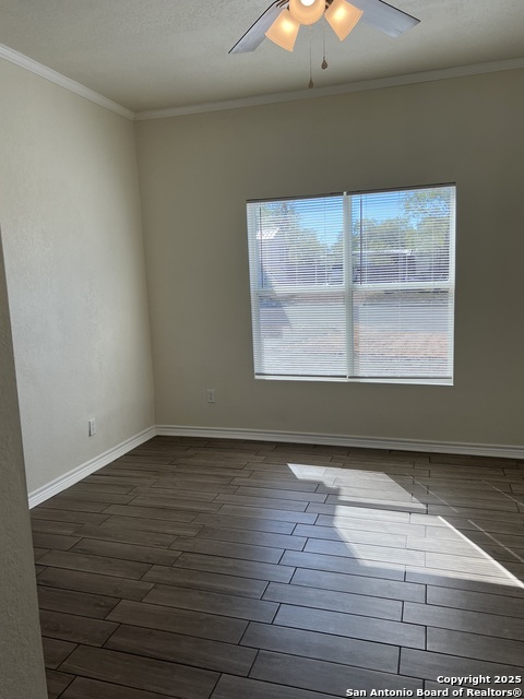 Image 23 of 32 For 516 Schleicher