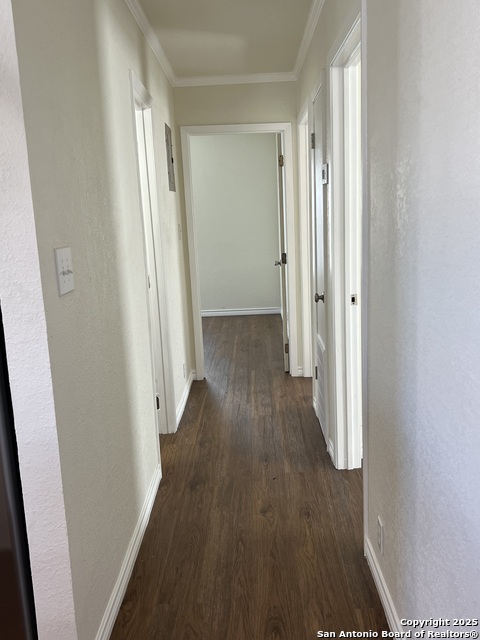 Image 24 of 32 For 516 Schleicher