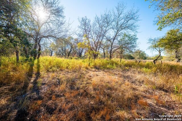 Image 4 of 14 For 21270 Priest Rd