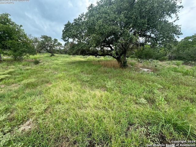 Image 46 of 48 For 440 Cedar Springs